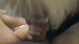 بچه ها آن را دوست دا ...