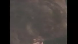 باغبان جوان, این دان ...