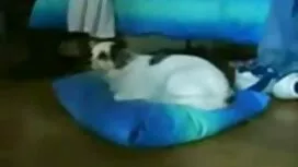 مایع با جدید شب سکس