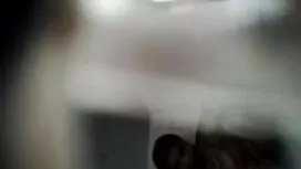 زیبایی گربه مرطوب فی ...