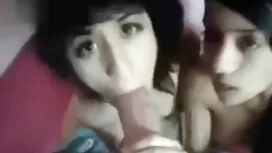 کارشناس, فرو کردن دا ...