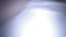 صورتی آلت تناسلی مرد ...
