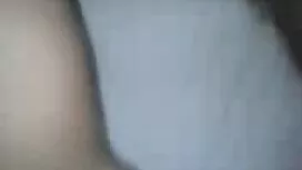 استاندارد فیلم شب سک ...